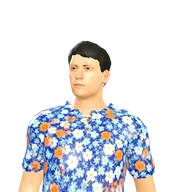 Islander