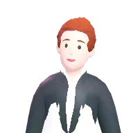 Citizen character preset